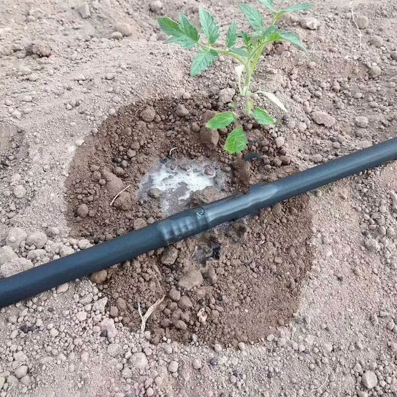 HDPE Drip Irrigation Pipe Line Kits for Papaya Irrigation System