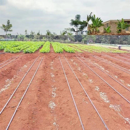 Dual Dripper Drip Irrigation System Kits for 1 Hectare