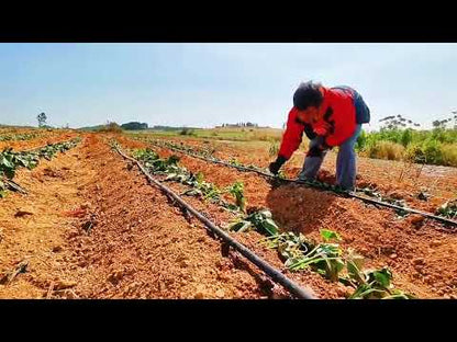 Deep well solar panel powered water pump drip irrigation Kit